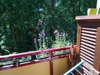 Mai/Juni 2019 Erzgebirge